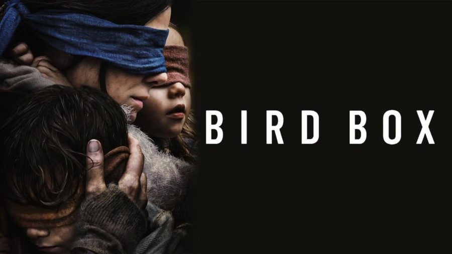 Why is Bird Box So Popular?