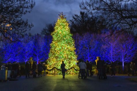 Holiday Events Around Our City!