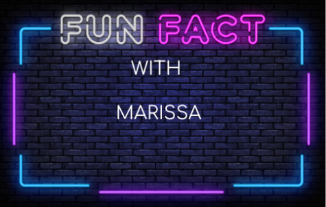 15 Fun and Interesting Facts